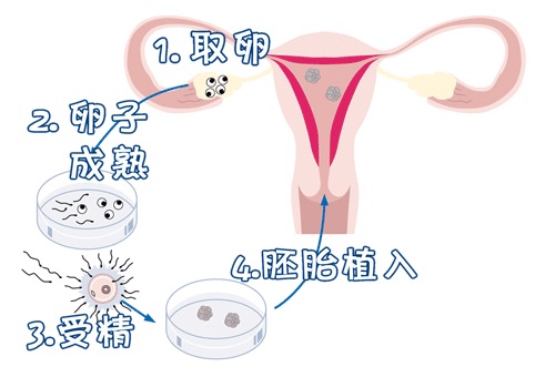 院长